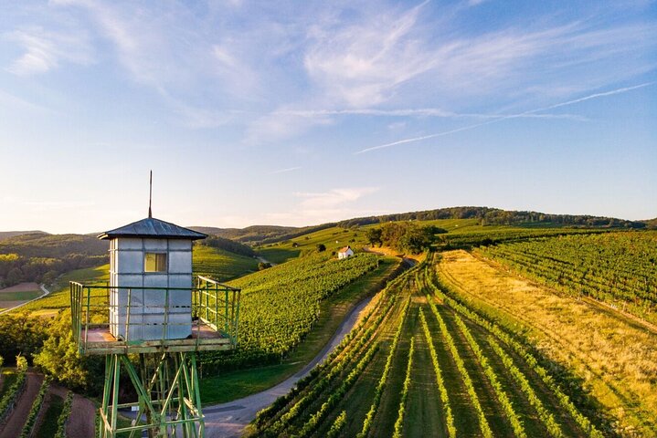Wine art in perfection Burgenland icon wines