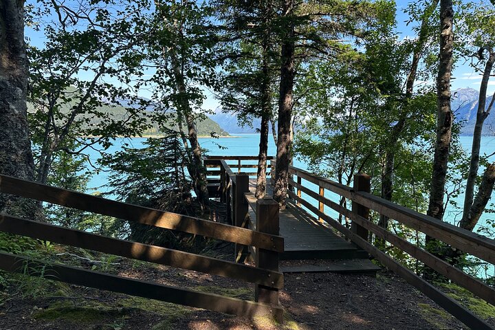 Alaska Nature Immersion: Forest Therapy Tour in Haines, Alaska