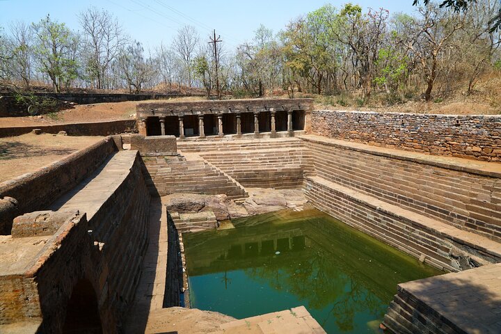 Nagpur to Bhopal via Pench & Satpura National Park