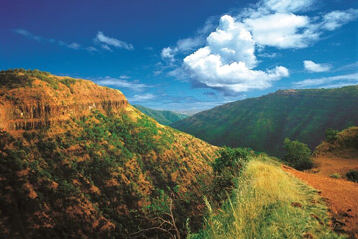 Nagpur to Bhopal via Pench & Satpura National Park