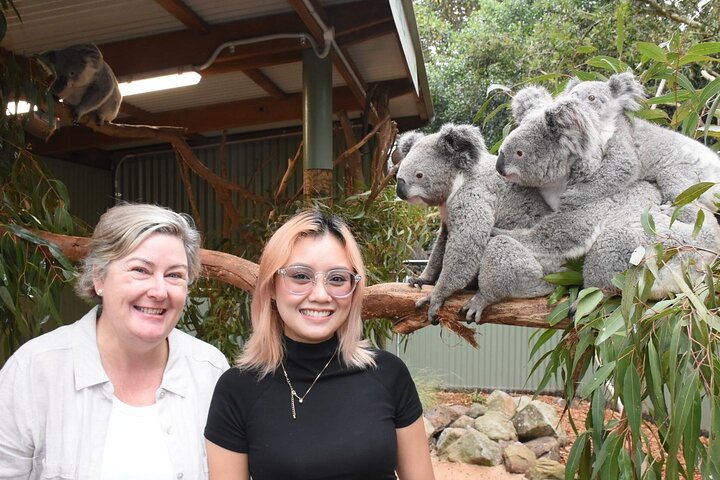 Blue Mountains Day Tour + Zoo & Scenic World Options, Morning Tea