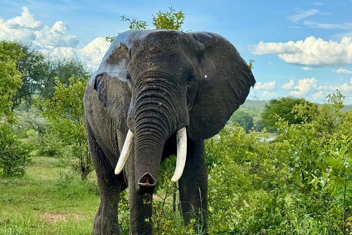 2 Days Ruaha National park