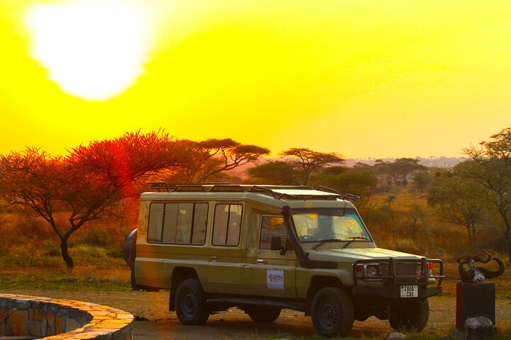 2 Days Ruaha National park