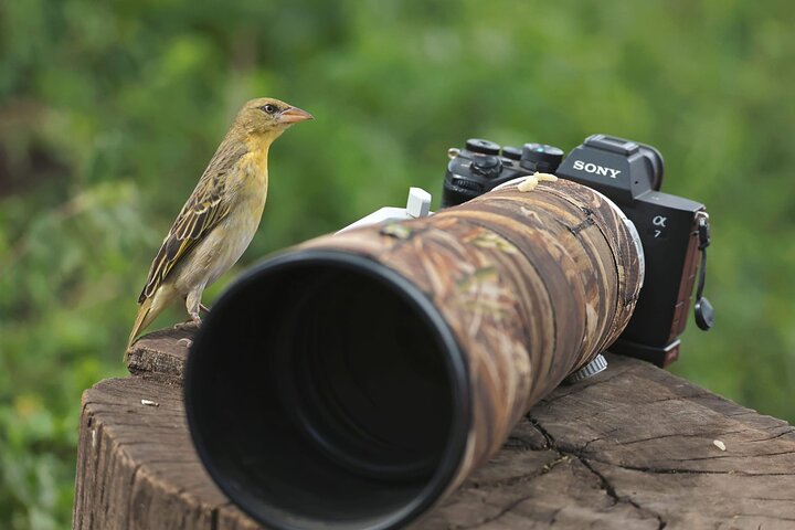 2 Days Ruaha National park