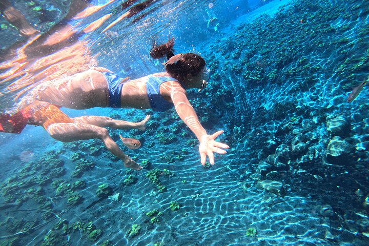 From Flowers Eco Tour to Blue Crater All Inclusive