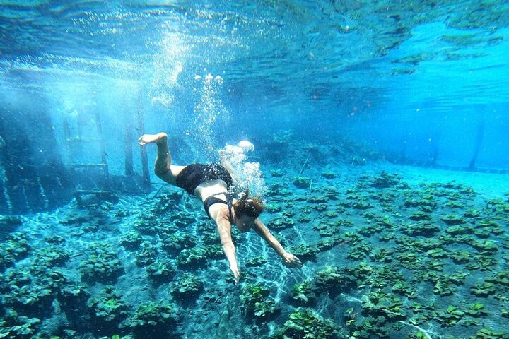 From Flowers Eco Tour to Blue Crater All Inclusive