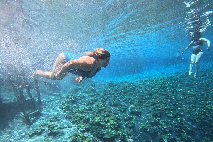 From Flowers Eco Tour to Blue Crater All Inclusive