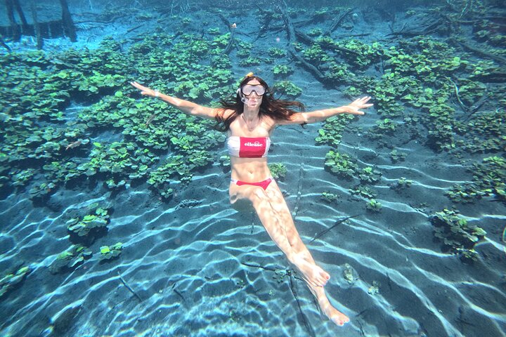 From Flowers Eco Tour to Blue Crater All Inclusive