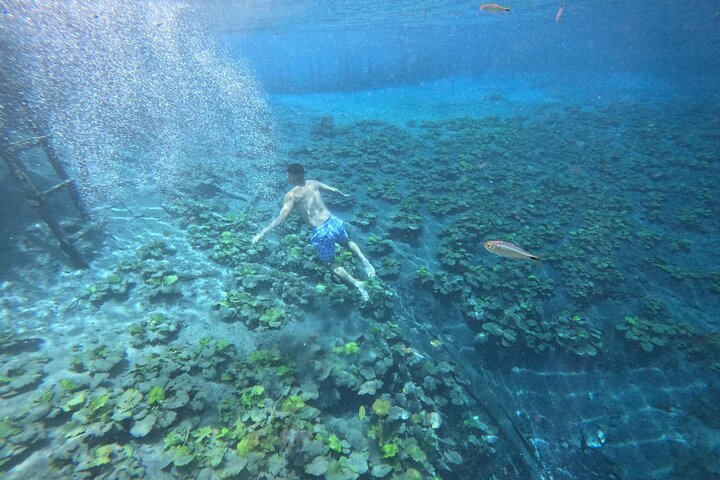 From Flowers Eco Tour to Blue Crater All Inclusive
