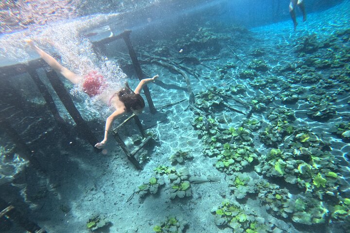 From Flowers Eco Tour to Blue Crater All Inclusive