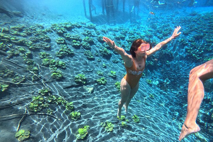 From Flowers Eco Tour to Blue Crater All Inclusive