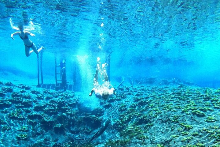From Flowers Eco Tour to Blue Crater All Inclusive