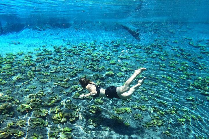 From Flowers Eco Tour to Blue Crater All Inclusive