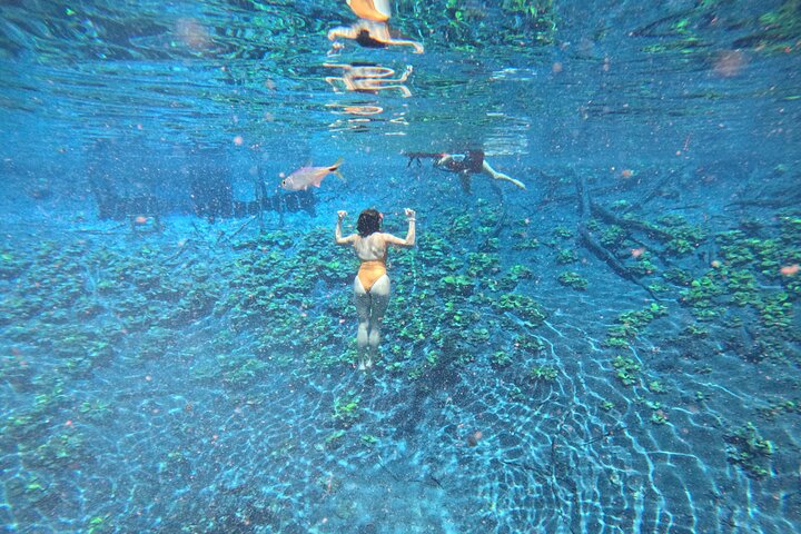 From Flowers Eco Tour to Blue Crater All Inclusive