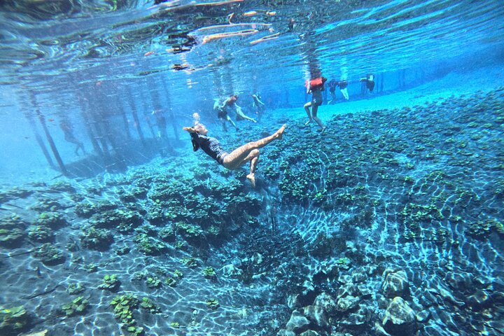 From Flowers Eco Tour to Blue Crater All Inclusive