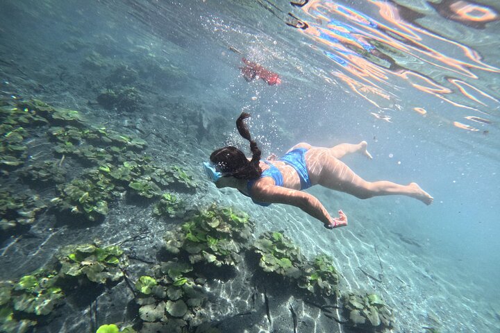 From Flowers Eco Tour to Blue Crater All Inclusive