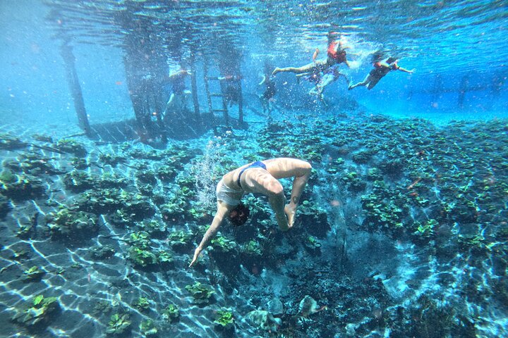 From Flowers Eco Tour to Blue Crater All Inclusive