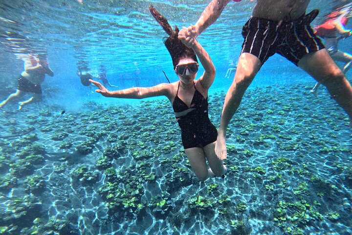 From Flowers Eco Tour to Blue Crater All Inclusive