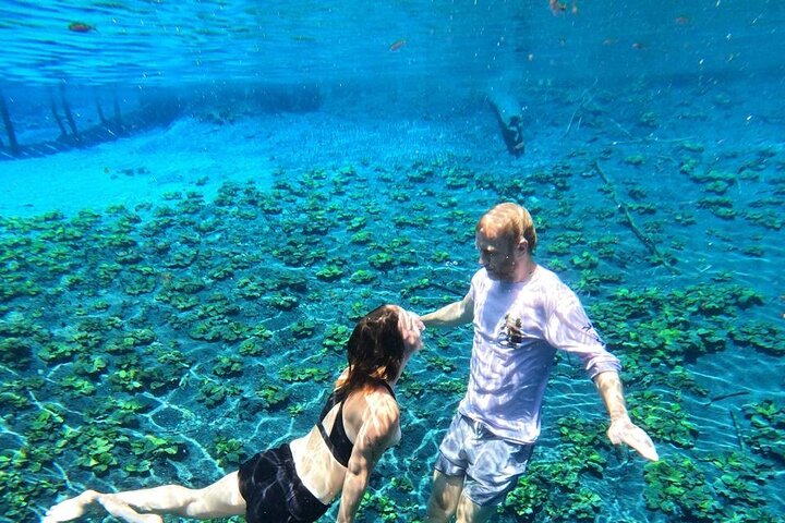 From Flowers Eco Tour to Blue Crater All Inclusive