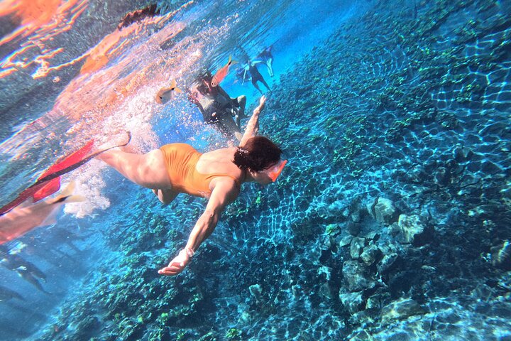 From Flowers Eco Tour to Blue Crater All Inclusive