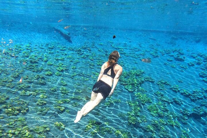 From Flowers Eco Tour to Blue Crater All Inclusive