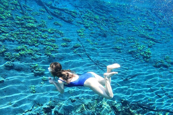 From Flowers Eco Tour to Blue Crater All Inclusive