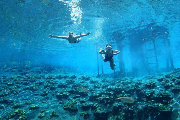From Flowers Eco Tour to Blue Crater All Inclusive