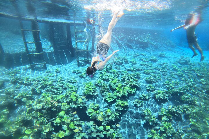 From Flowers Eco Tour to Blue Crater All Inclusive