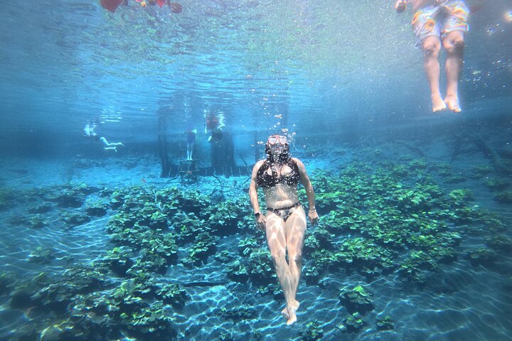 From Flowers Eco Tour to Blue Crater All Inclusive