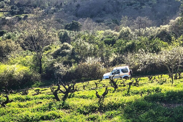 Discover the unique wine and villages of the Sierra de Salamanca