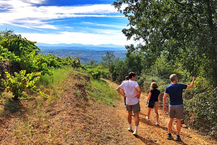 Discover the unique wine and villages of the Sierra de Salamanca