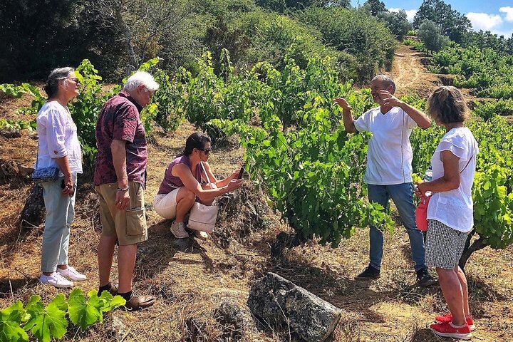 Discover the unique wine and villages of the Sierra de Salamanca