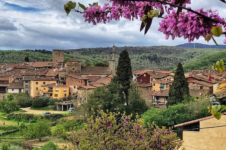 Discover the unique wine and villages of the Sierra de Salamanca