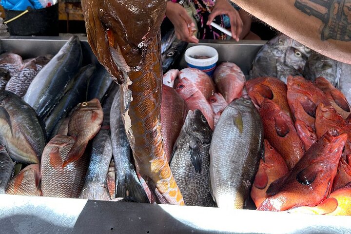 Best of São Vicente & Santo Antão – 2 Days: Car, Ferry & Guide