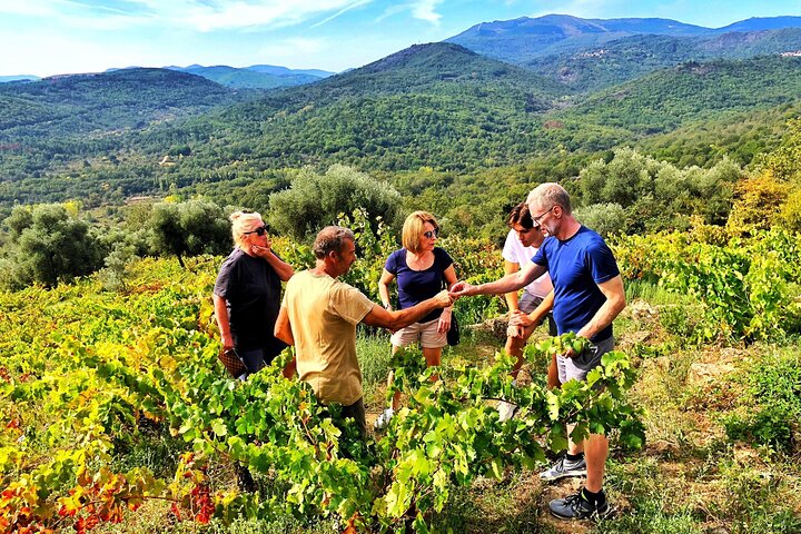 Discover the unique wine and villages of the Sierra de Salamanca