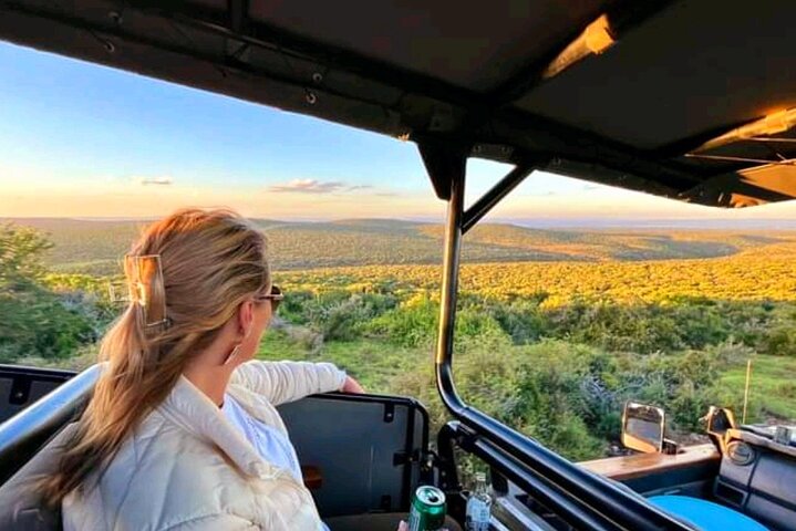 2 Day Schotia Safari Tour in Port Elizabeth