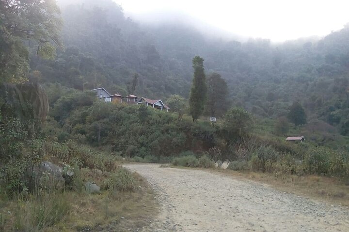 Nagaland & Assam Soft Trekking Tour in Tribal Village
