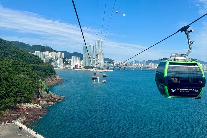 Guaranteed Return - Busan Shore Excursion for Cruise Guests