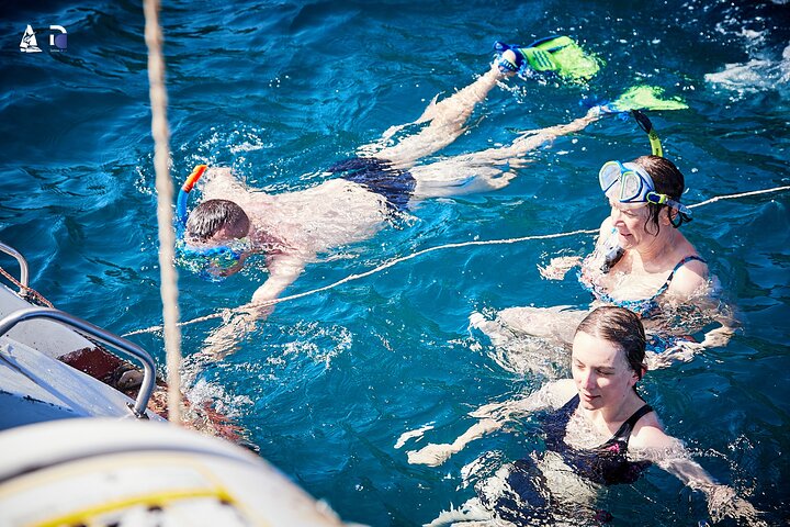 Catamaran Makaira Half Day Tour