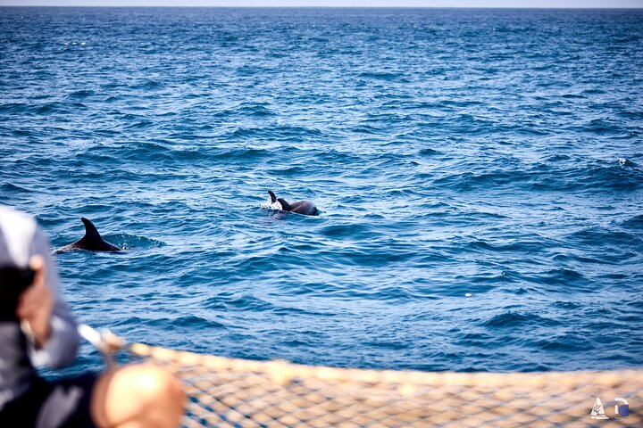 Catamaran Makaira Half Day Tour
