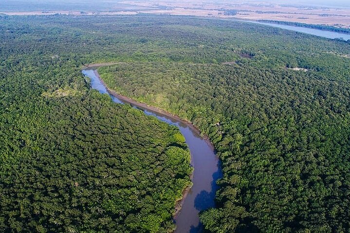 Kolkata to Bhubaneshwar via Tiger Reserve, Mangroves Forest