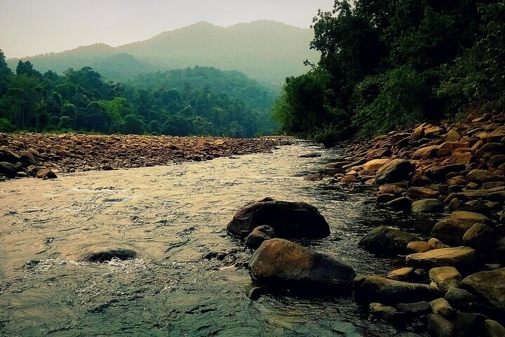 Kolkata to Bhubaneshwar via Tiger Reserve, Mangroves Forest