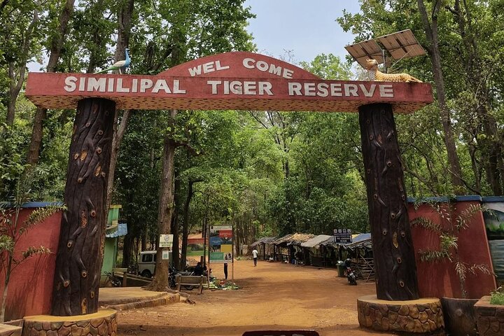 Kolkata to Bhubaneshwar via Tiger Reserve, Mangroves Forest