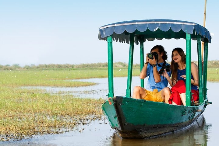 Kolkata to Bhubaneshwar via Tiger Reserve, Mangroves Forest