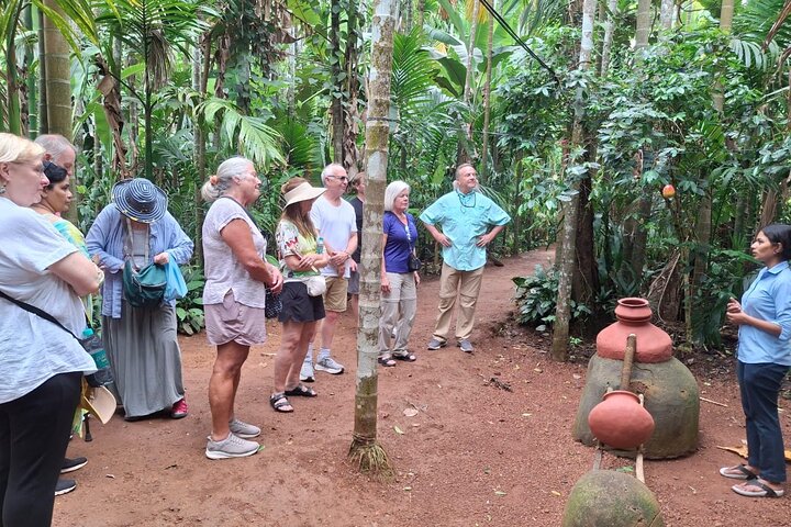 Discover the Treasures of Goa: A Full-Day Shore Excursion Tour