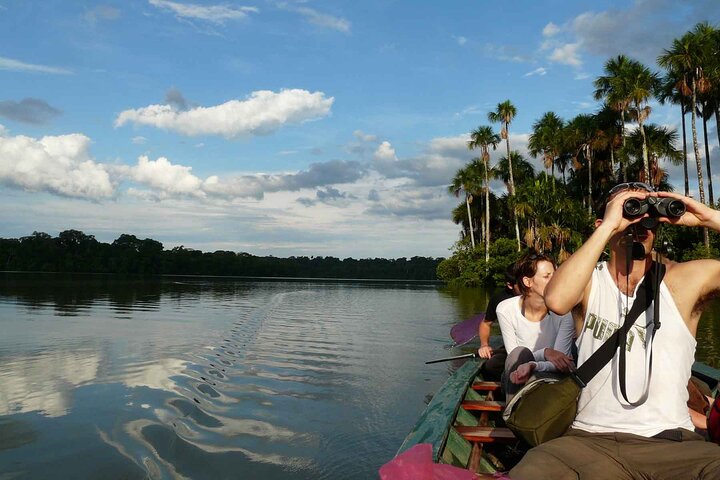 4Day Amazon Rainforest Tour in Tambopata National Reserve