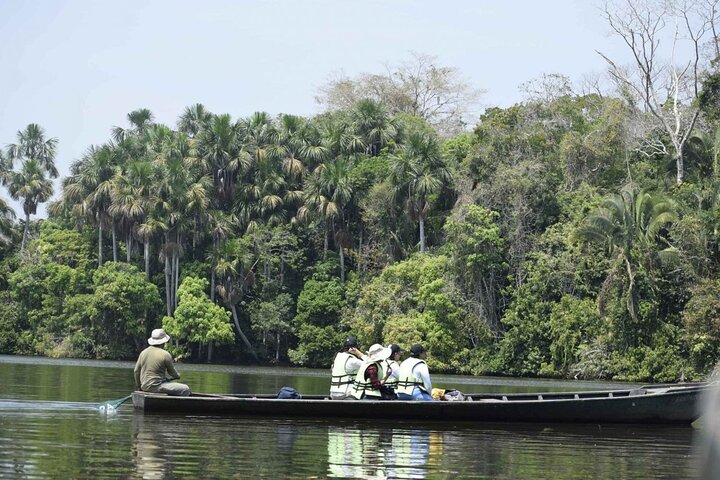 4Day Amazon Rainforest Tour in Tambopata National Reserve