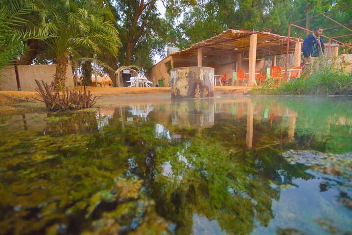 Ksar Ghilane Oasis Desert Escape and Star Wars Day Tour