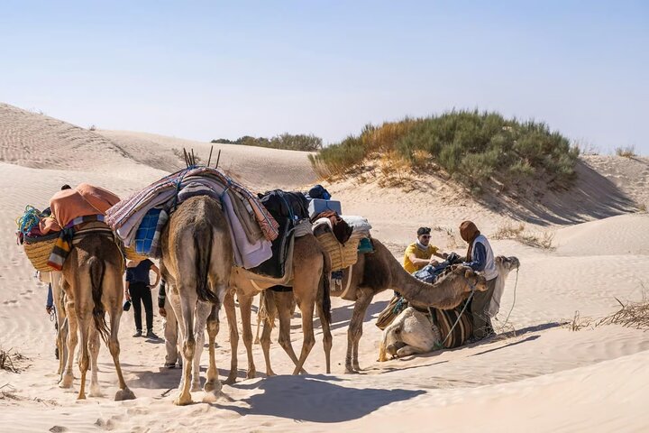 Ksar Ghilane Oasis Desert Escape and Star Wars Day Tour