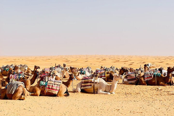 Ksar Ghilane Oasis Desert Escape and Star Wars Day Tour